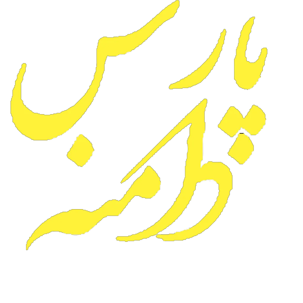 لوگو شرکت پارس دامنه - مرجع خرید و فروش دامنه